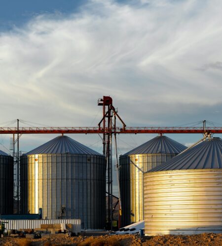 jim-witkowski-ZaVUNY5rHmY-unsplash-scaled