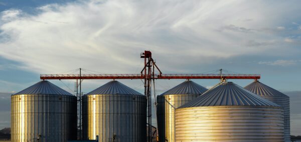 jim-witkowski-ZaVUNY5rHmY-unsplash-scaled