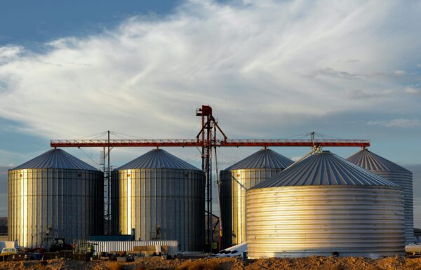 jim-witkowski-ZaVUNY5rHmY-unsplash-scaled